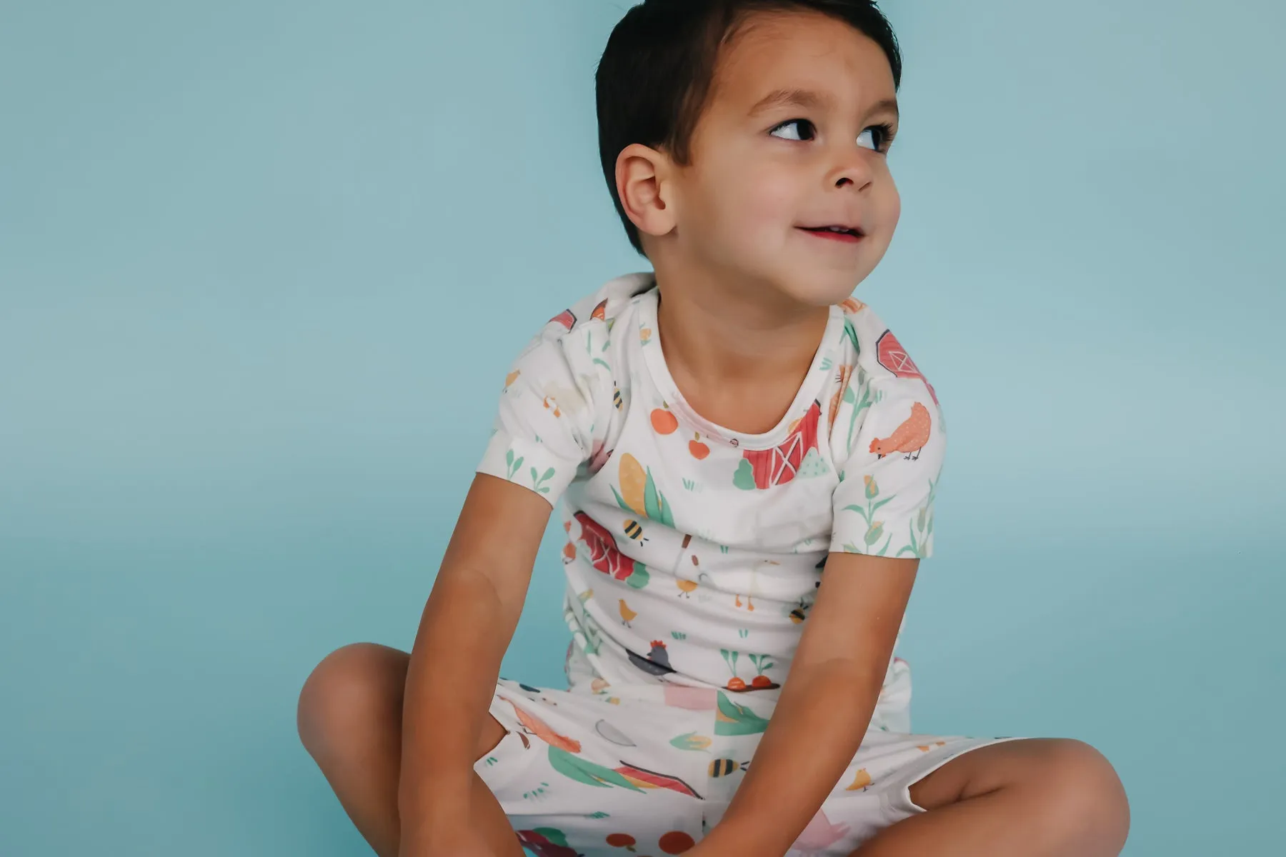 2pc Short Sleeve Pajama Set - Farmstead