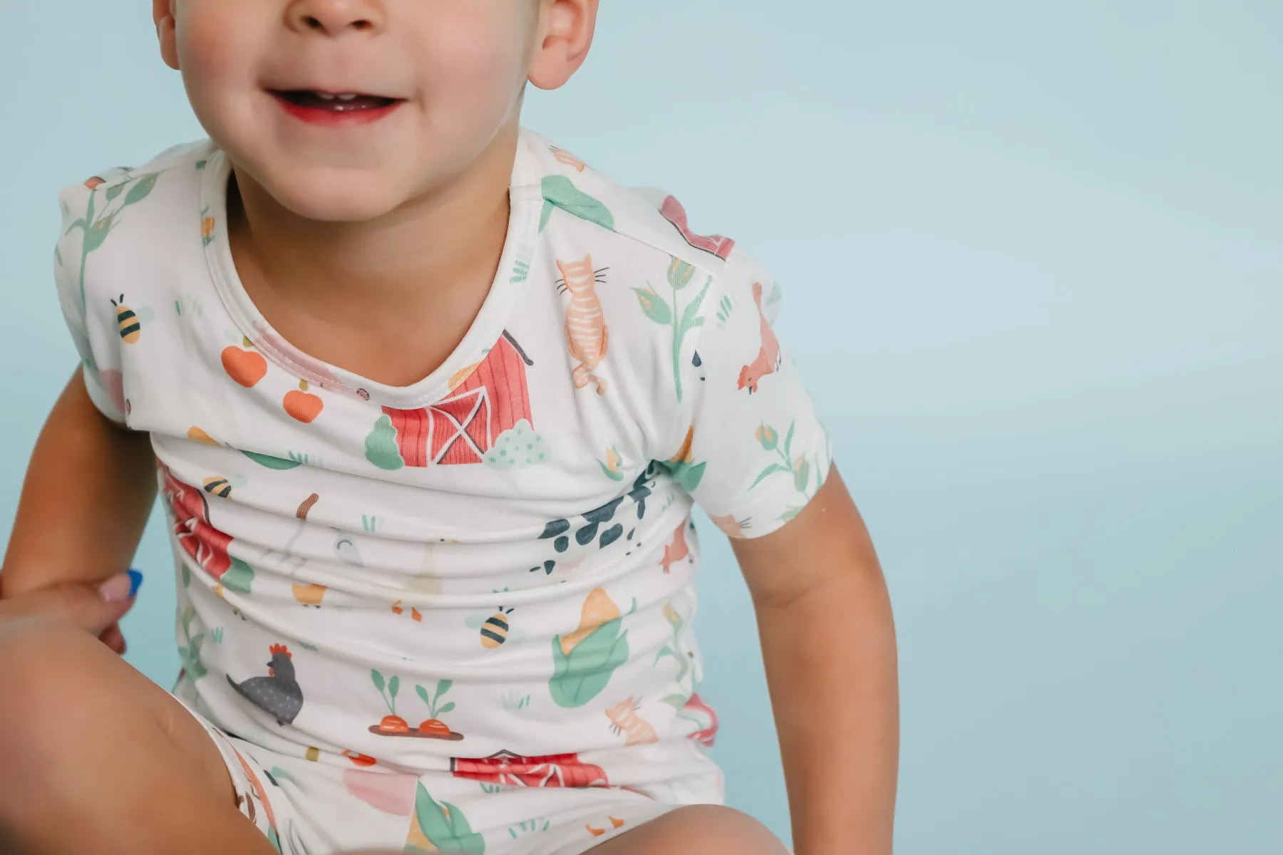 2pc Short Sleeve Pajama Set - Farmstead