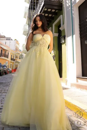 Applique Strapless A-line Glitter Dress_T1326