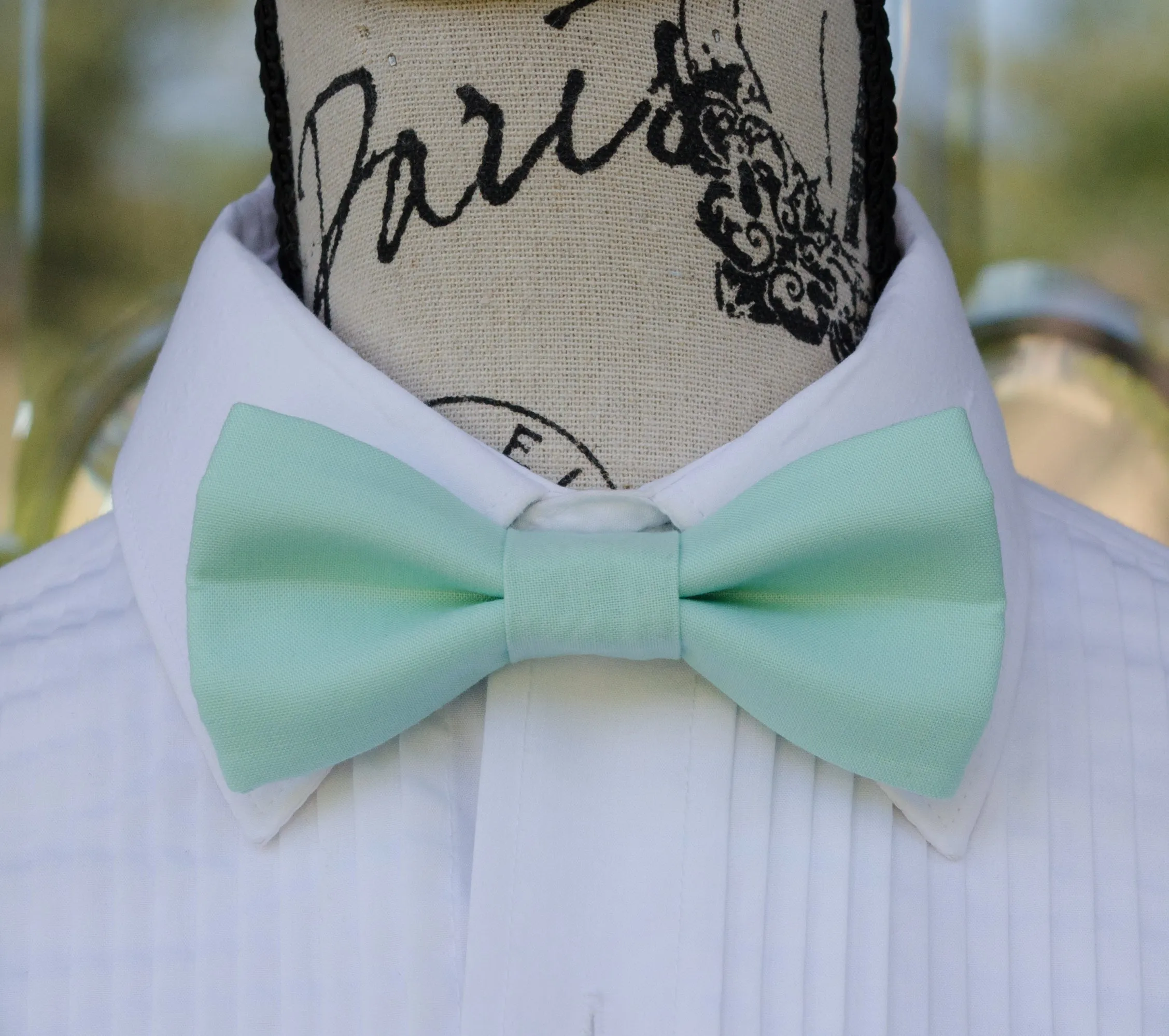 Aqua Bow Tie (34)
