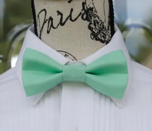 Aqua Green Bow Tie (65)
