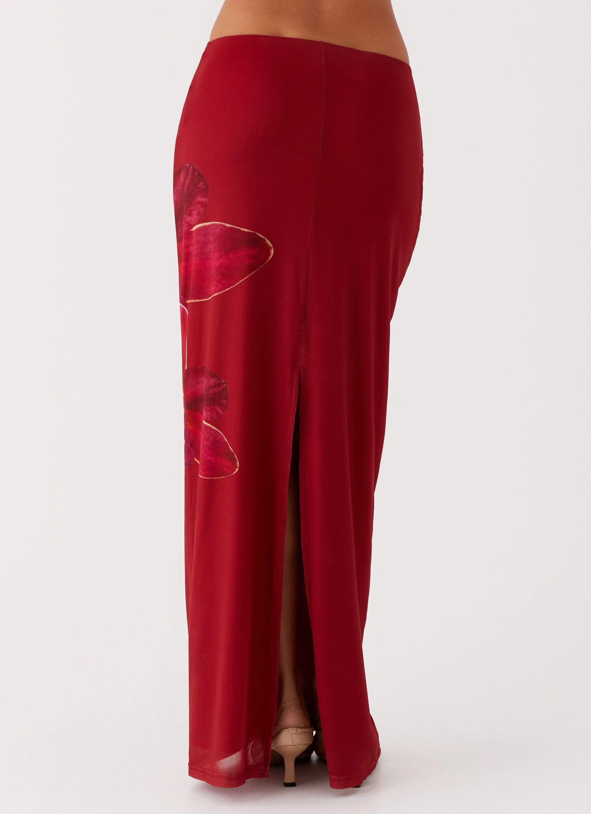 Waiting For Dawn Mesh Maxi Skirt - Rosa Effortless Layer Simple Silhouette