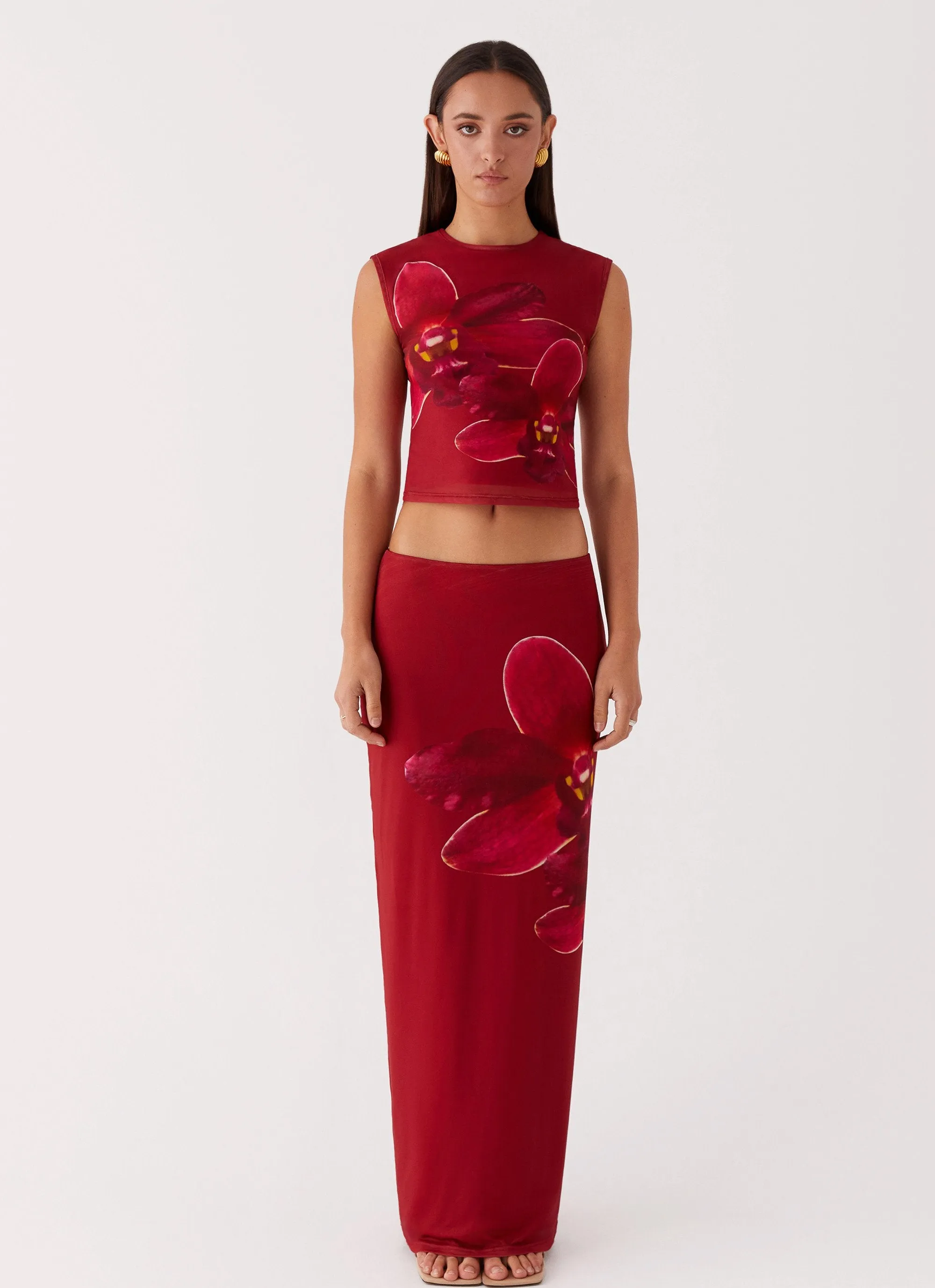 Waiting For Dawn Mesh Maxi Skirt - Rosa No Gap Waist Construction