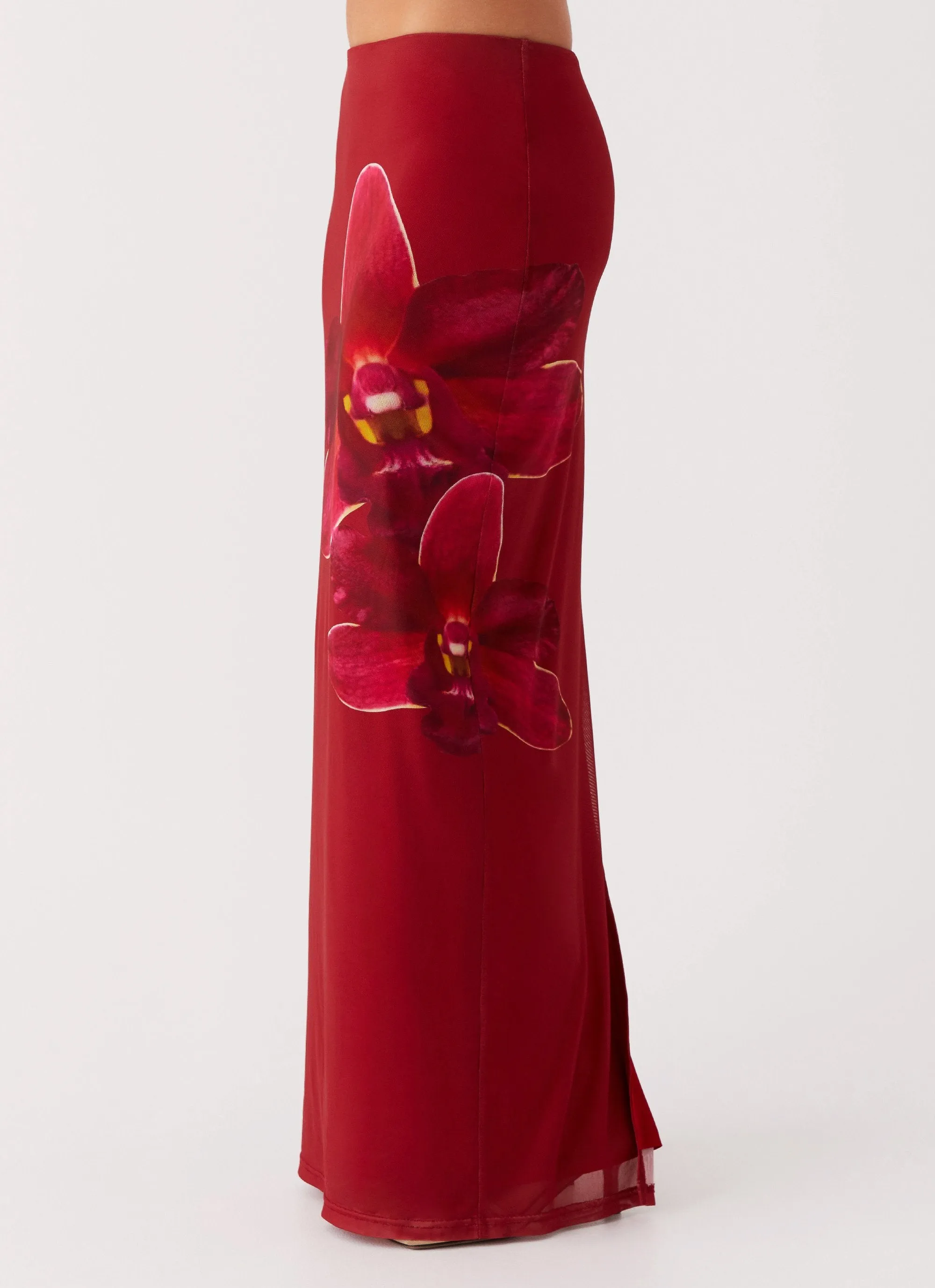 All Season Wear Waiting For Dawn Mesh Maxi Skirt - Rosa