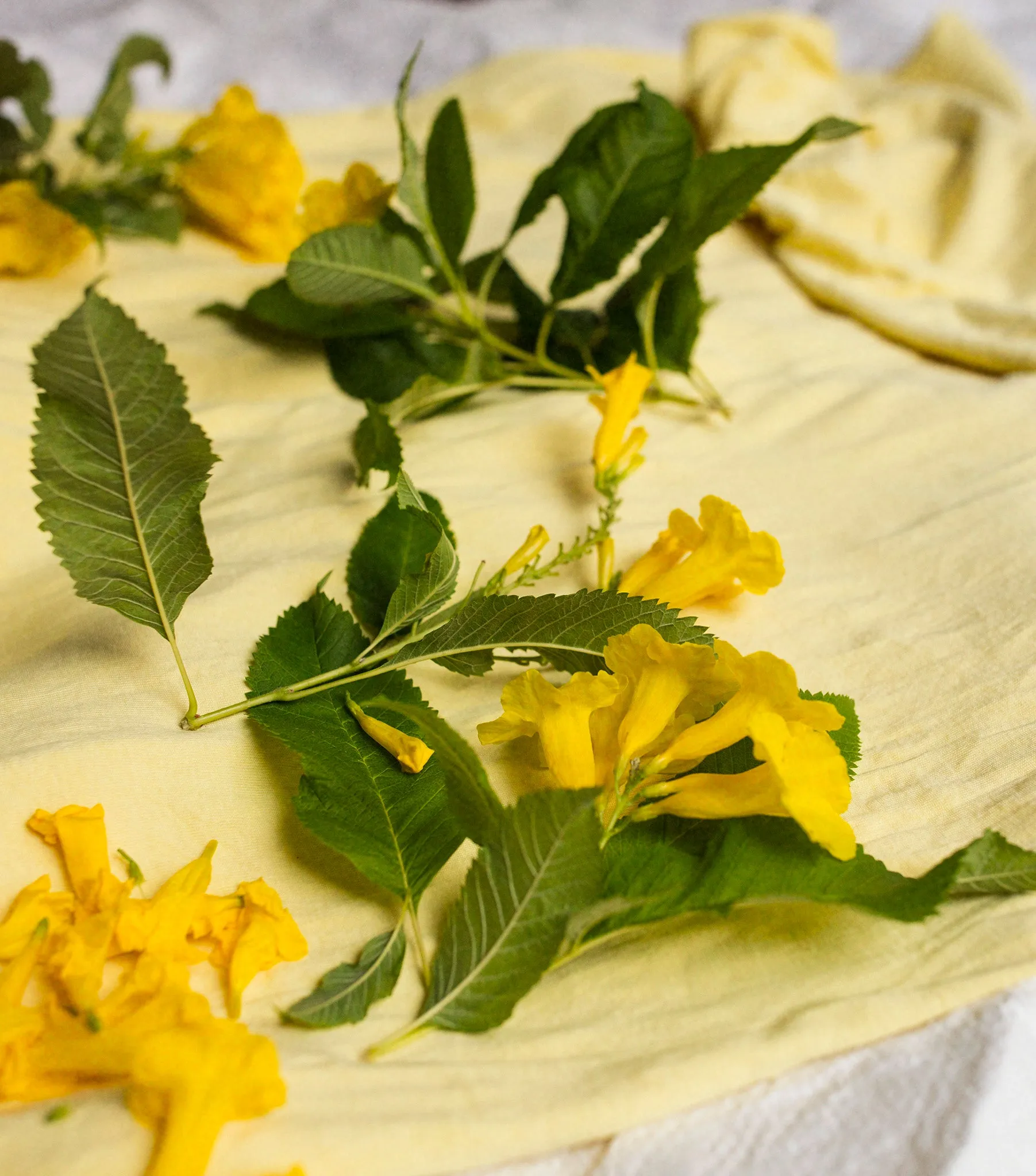 Baby Romper - Lemon
