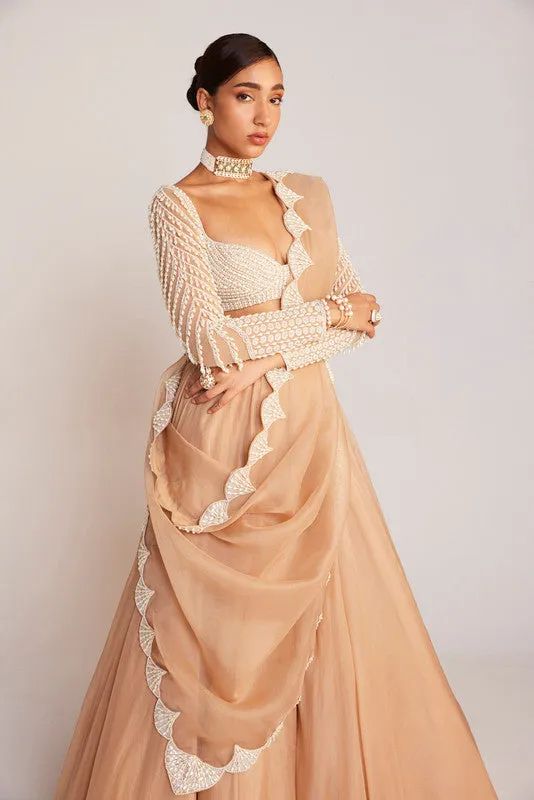 Beige Pearl Chandelier Drop Organza Lehenga Set