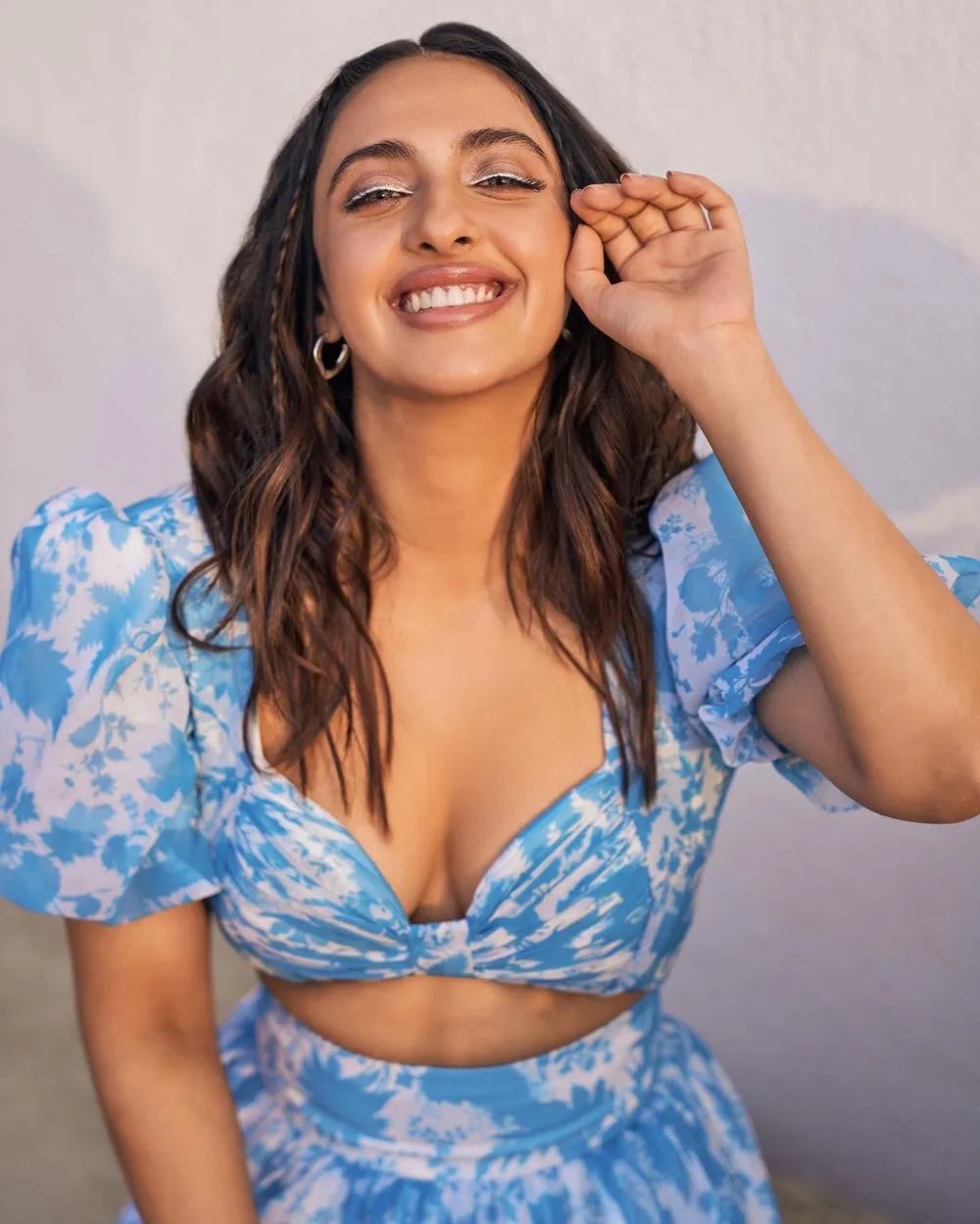 Blue & White Suzani Crop Top & Skirt