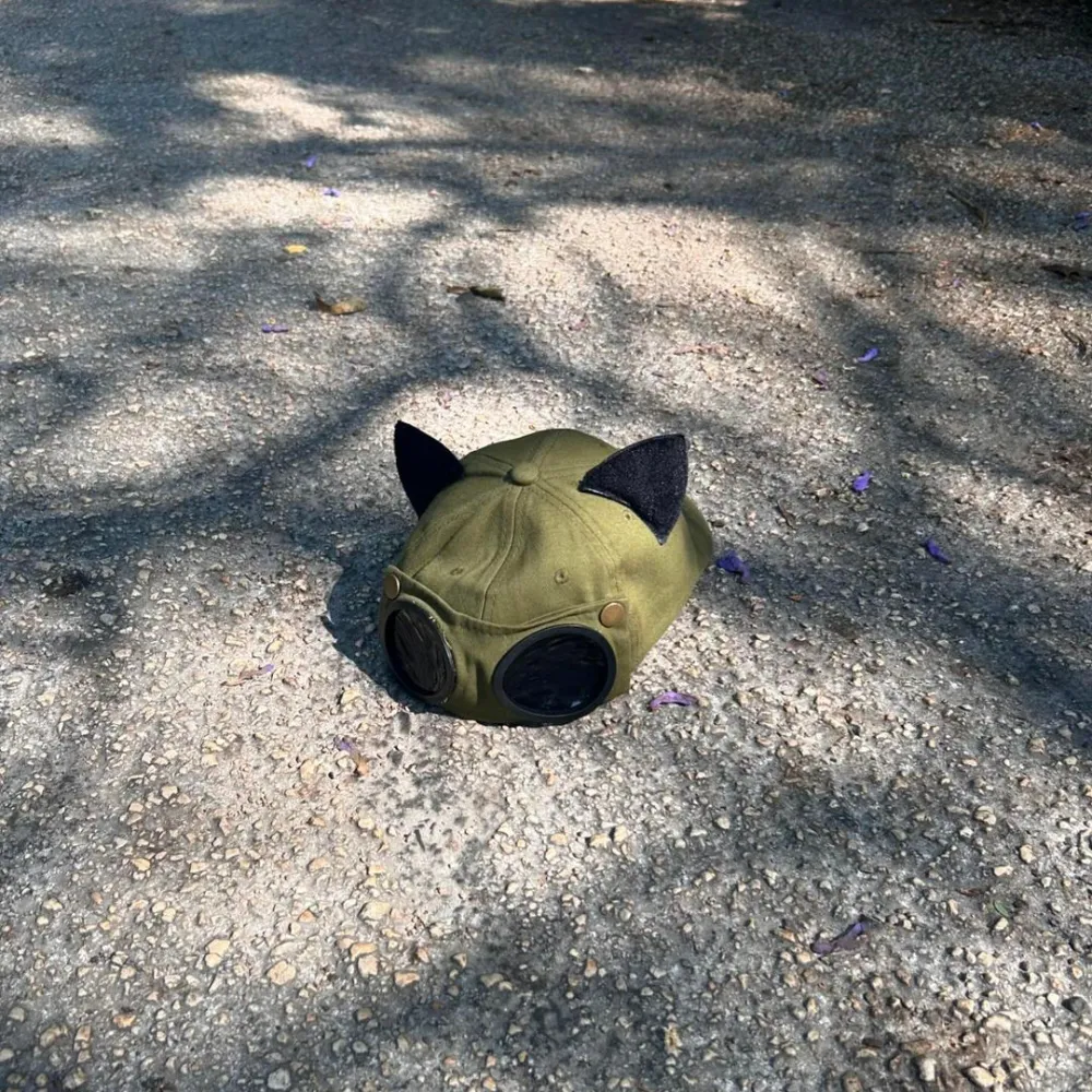 Cute Cat Ears Aviator Hat