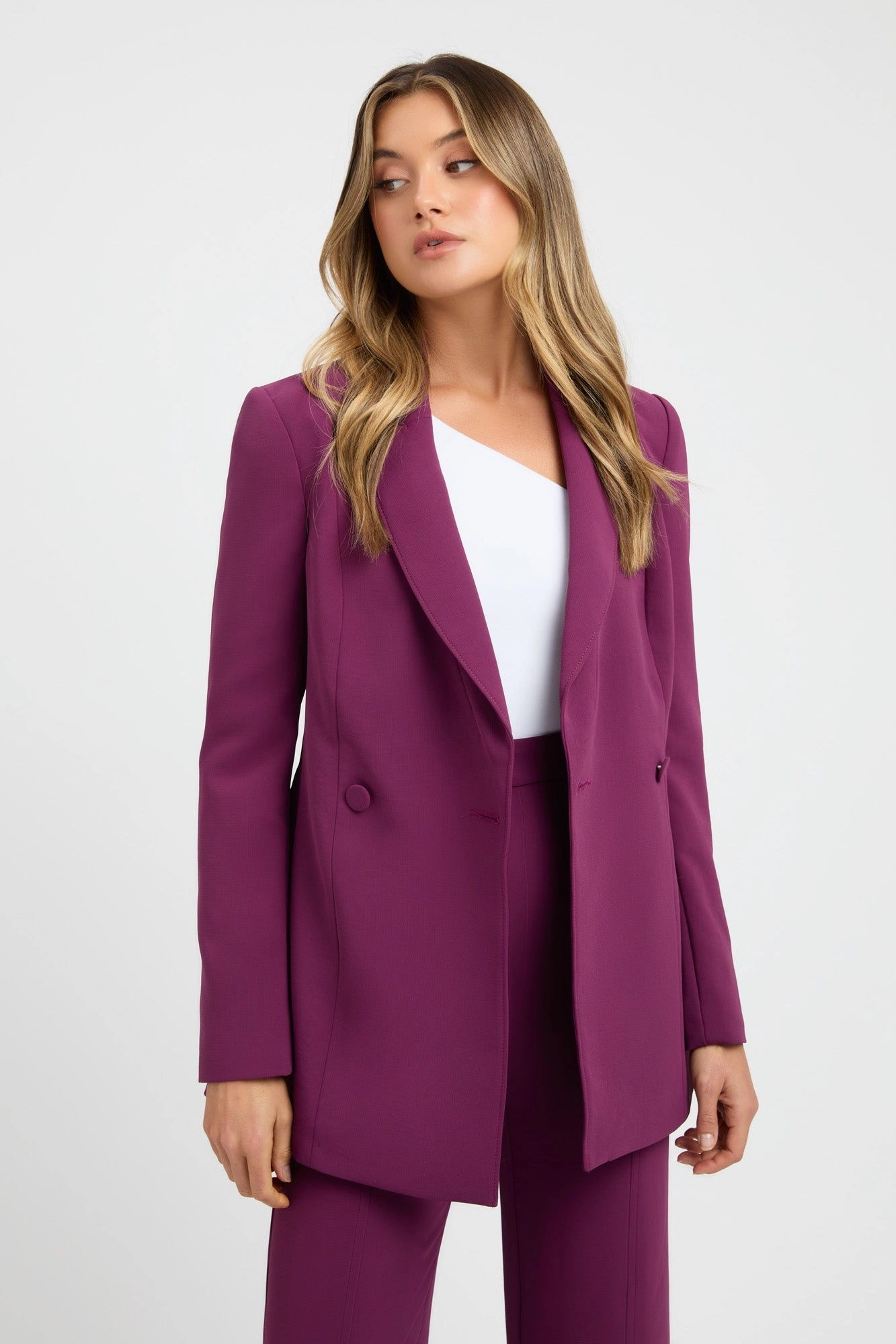 Ornamental window - shopping Alpha Core Blazer