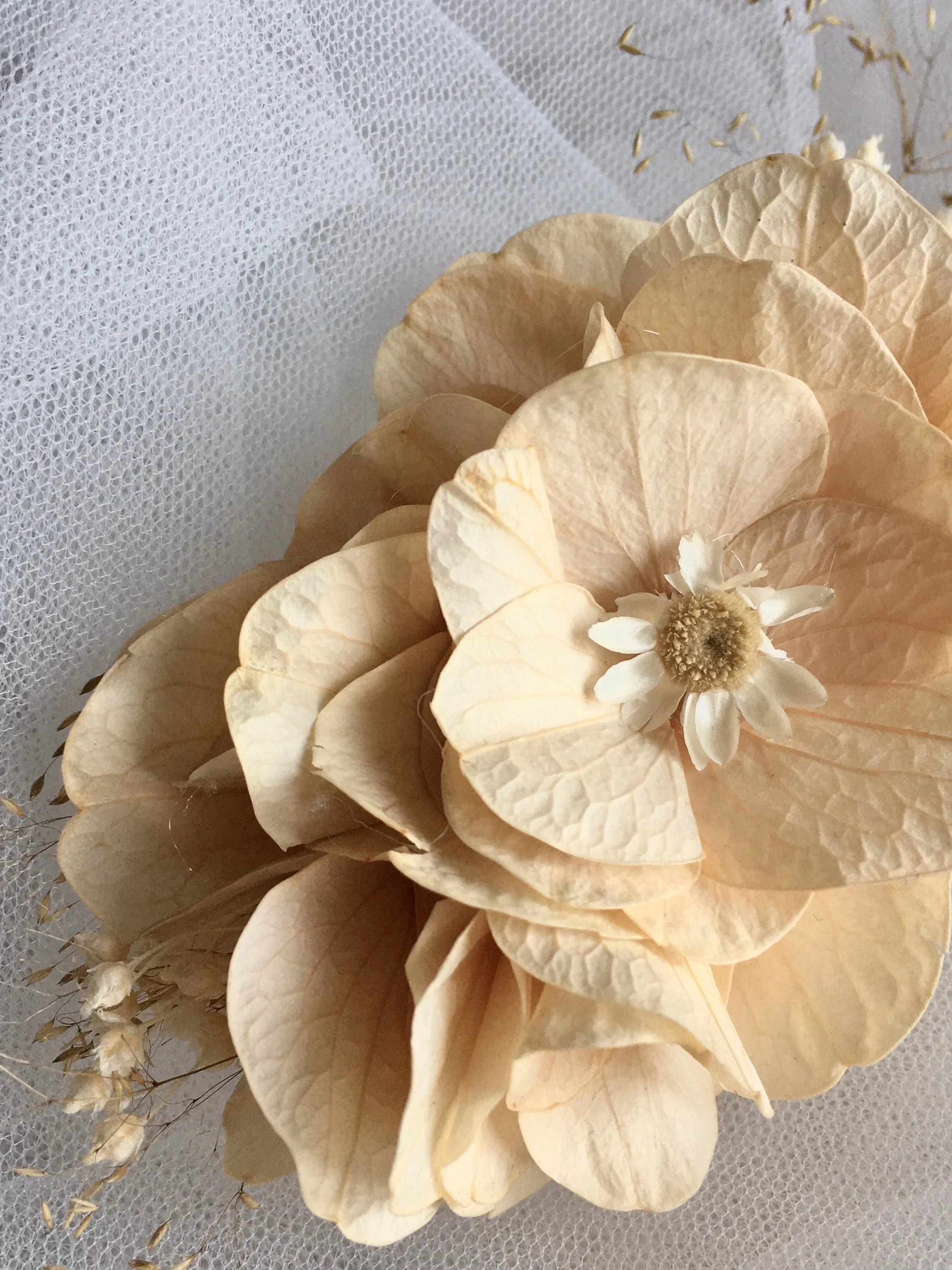 Dried Flower Hair Clip Nude Champagne, Boho Country Bridal Hair Piece UK, Hydrangea Hair Clip, Everlasting Preserved Hair Accessories