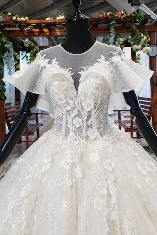 Elegant Ball Gown Big Wedding Dresses, Appliques Bridal Dress with Short Sleeves TN185