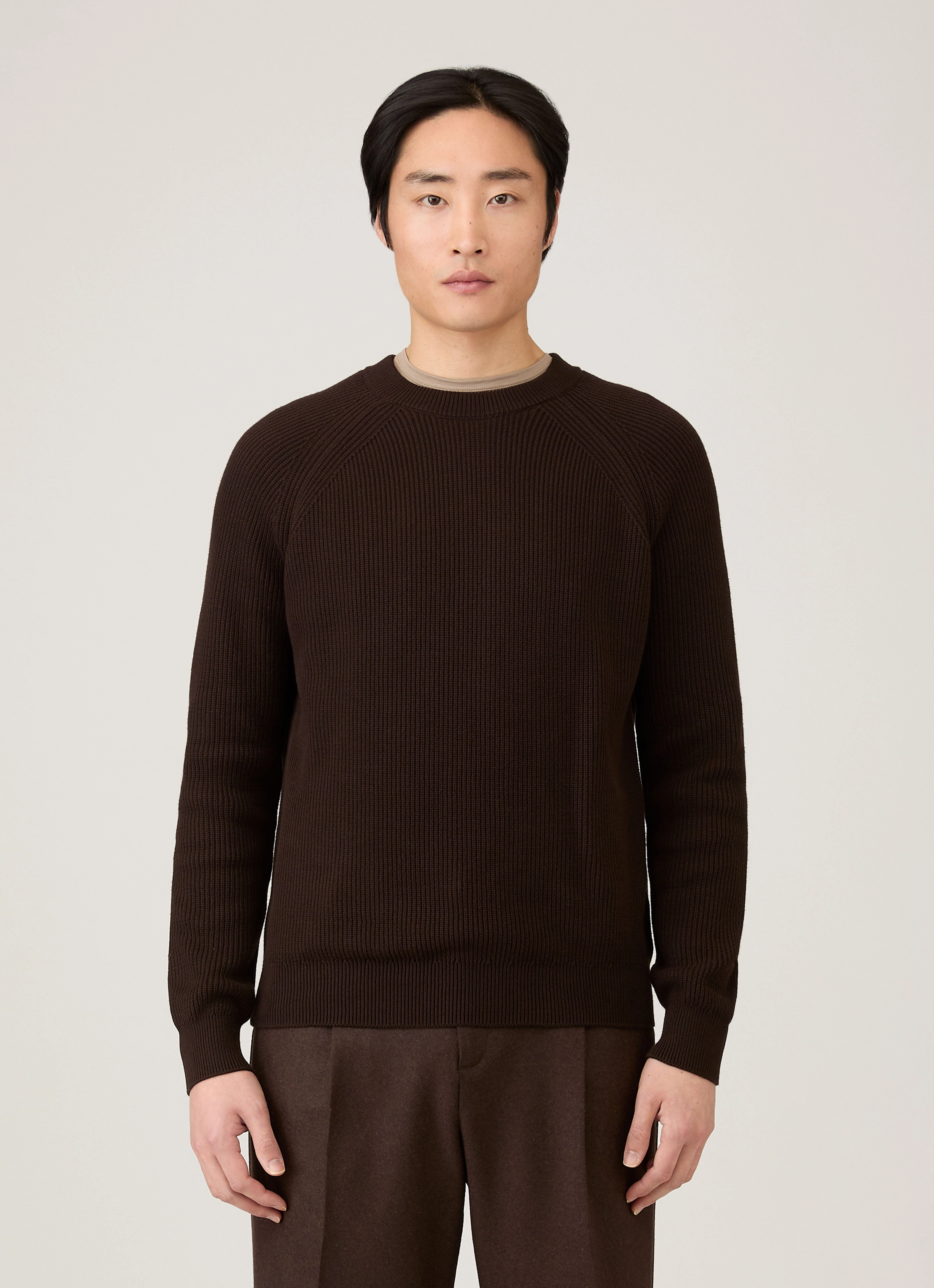 Classic Comfort Cozy Finish Men's Ribbed Jumper in Truffle