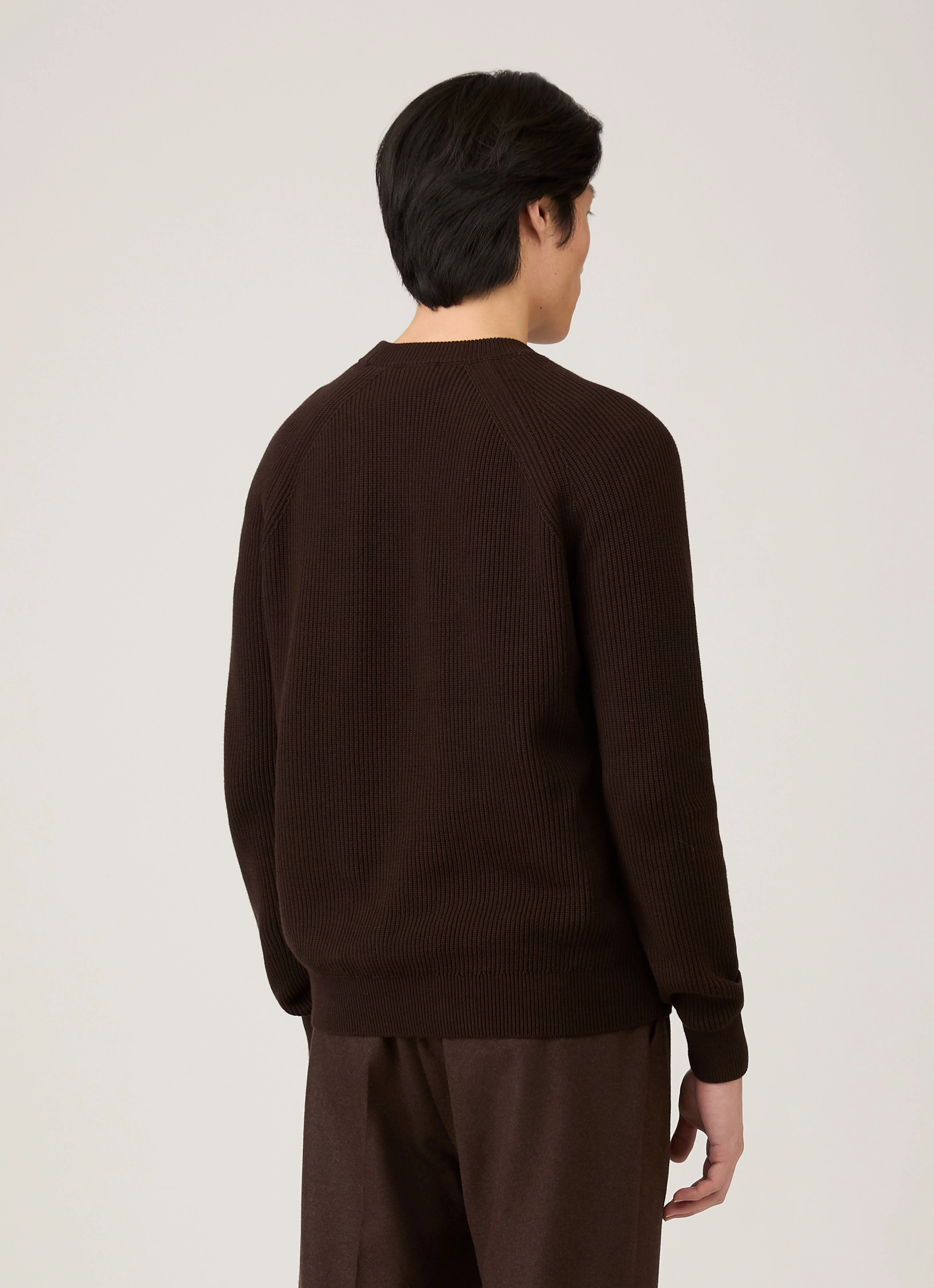 Men's Ribbed Jumper in Truffle MachineWashable