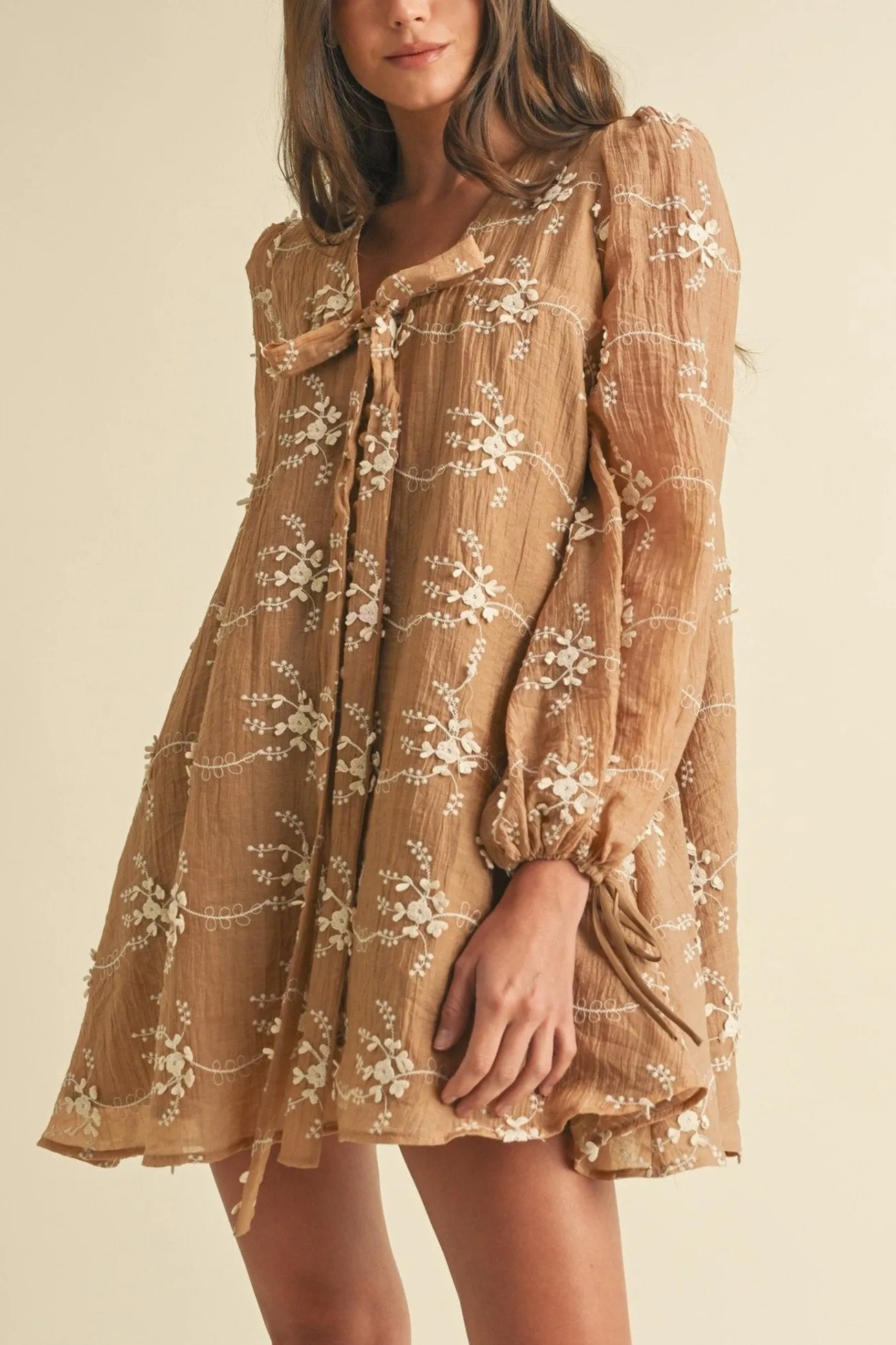 Floral Embroidered Long Sleeve Mini Dress