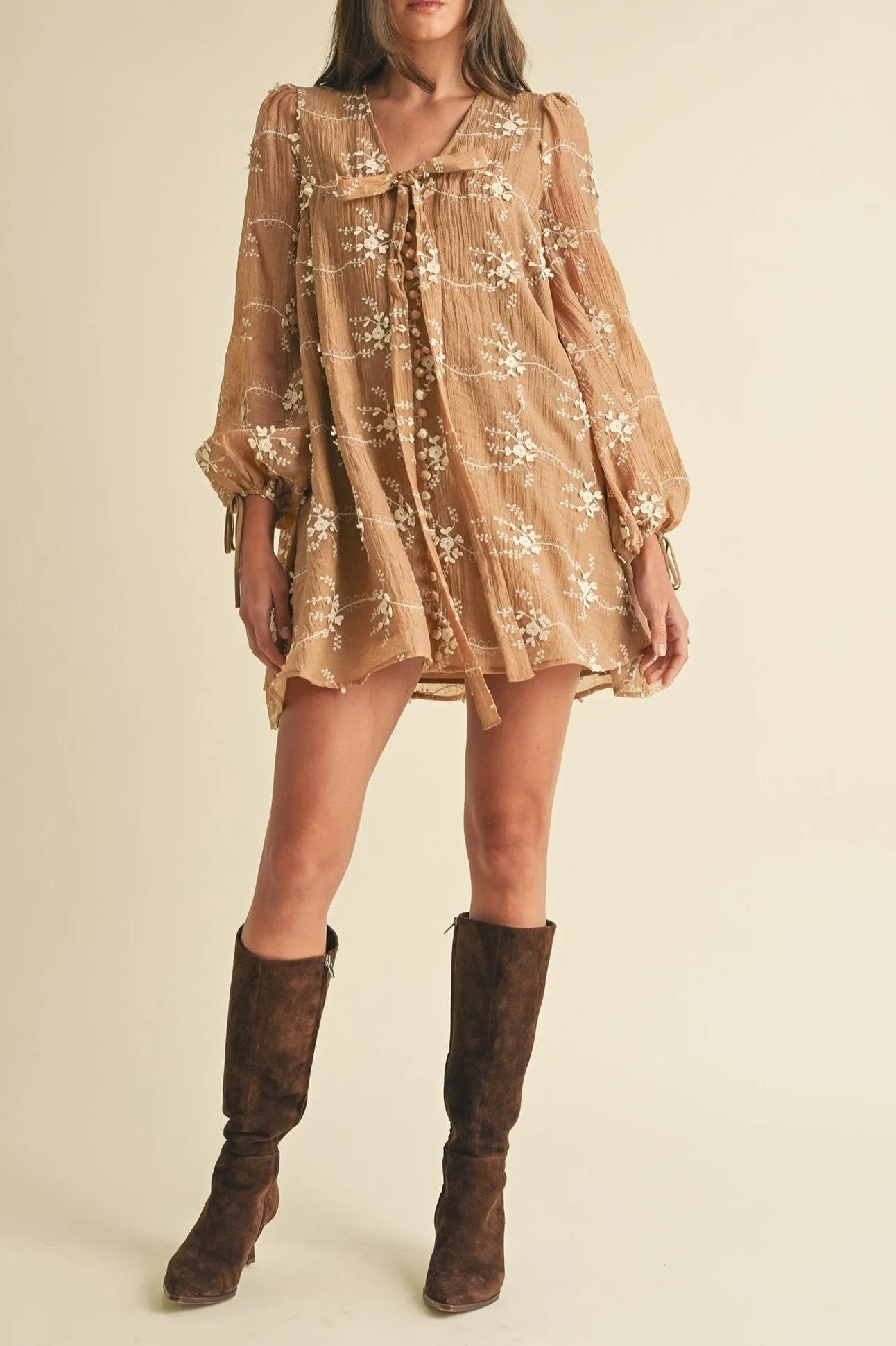 Floral Embroidered Long Sleeve Mini Dress