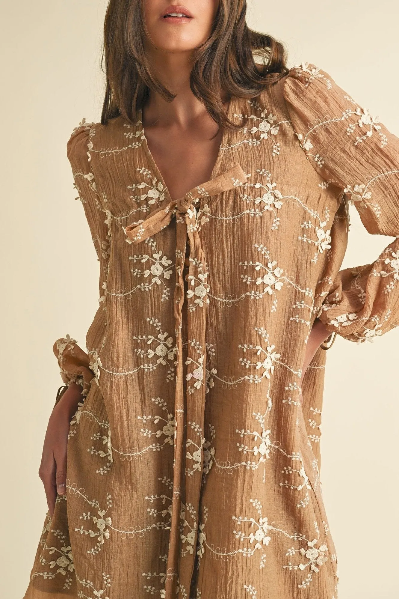Floral Embroidered Long Sleeve Mini Dress