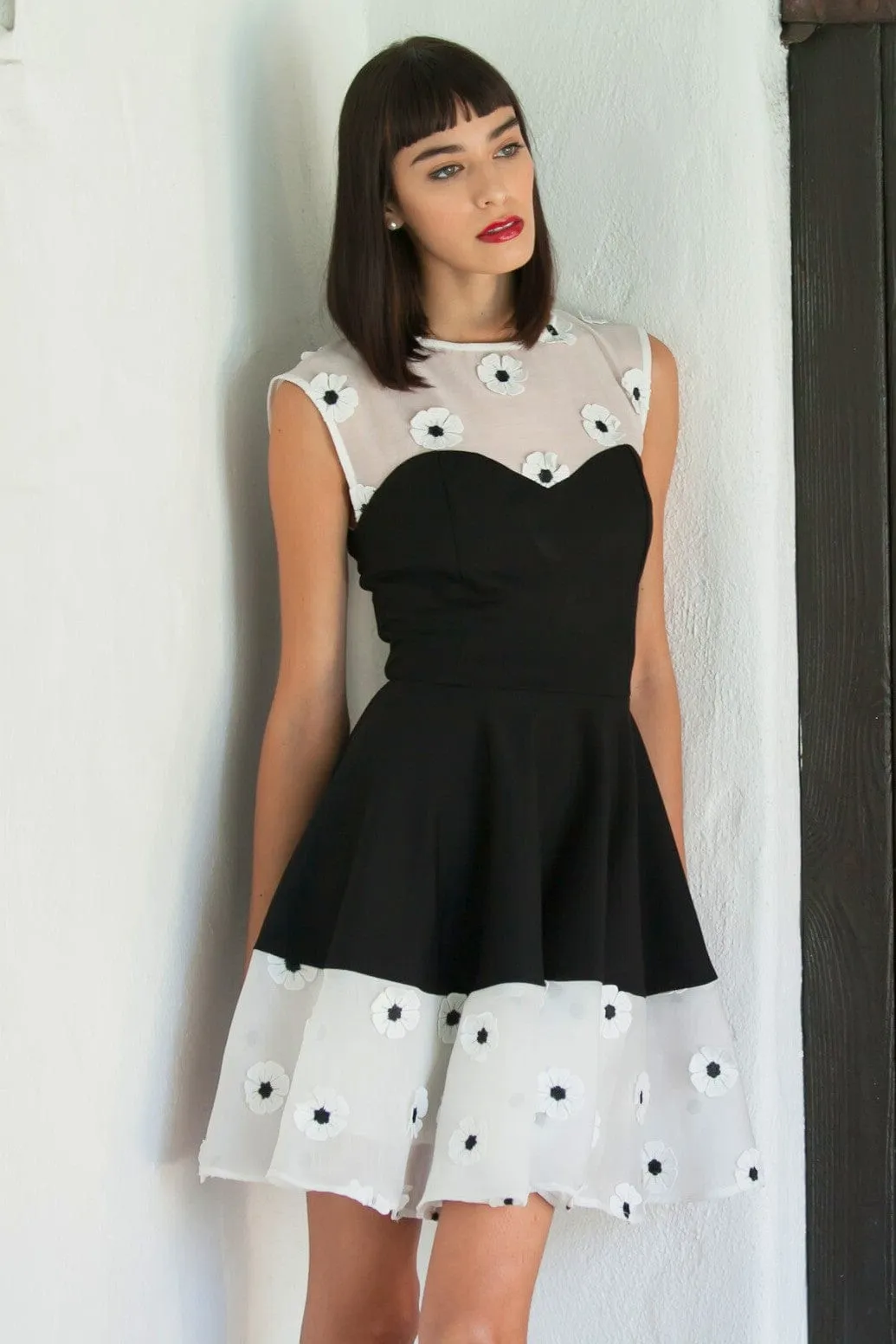 Easy Elegance Yolanda Daisy Dress - Black and White