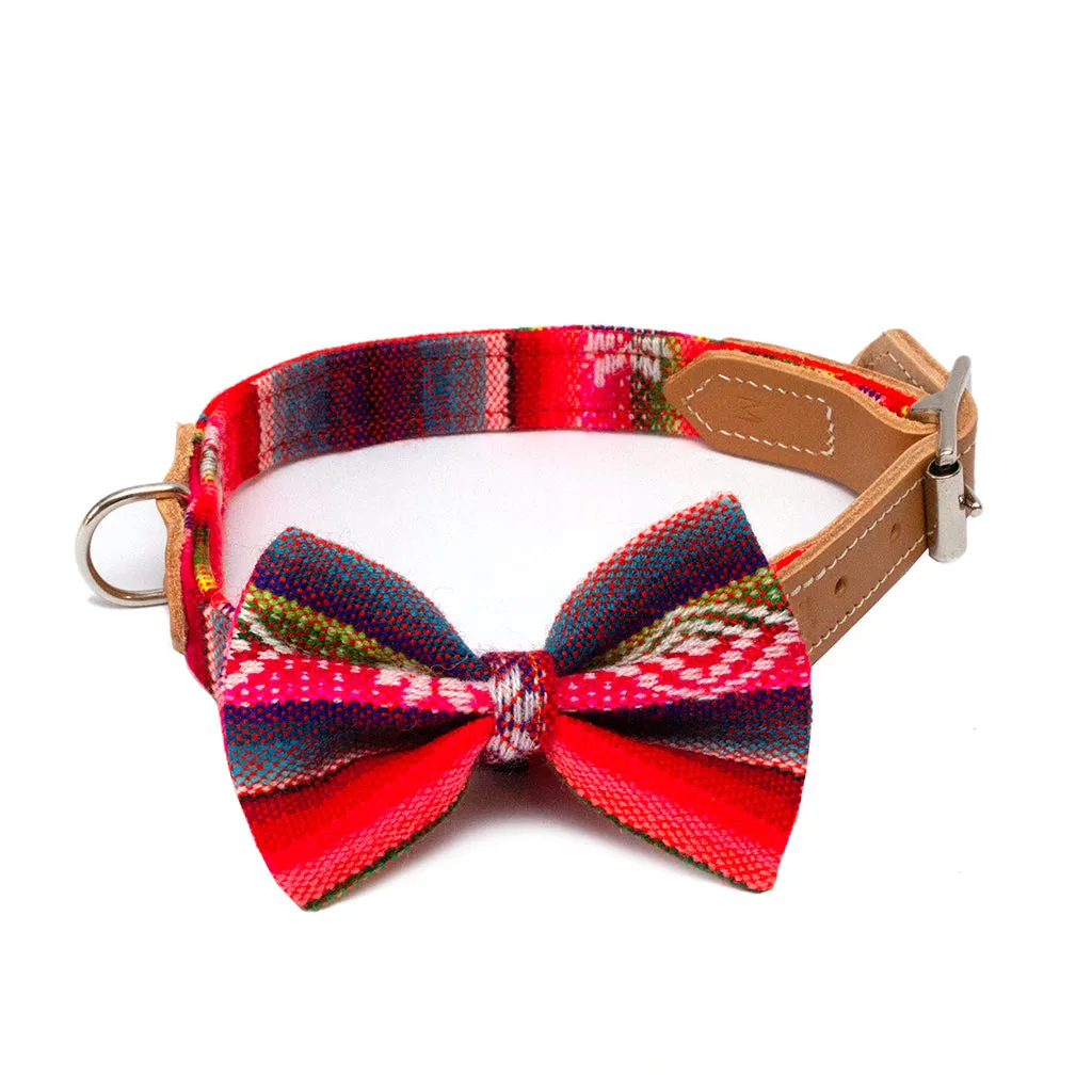 Inca Orange Dog Bow Tie