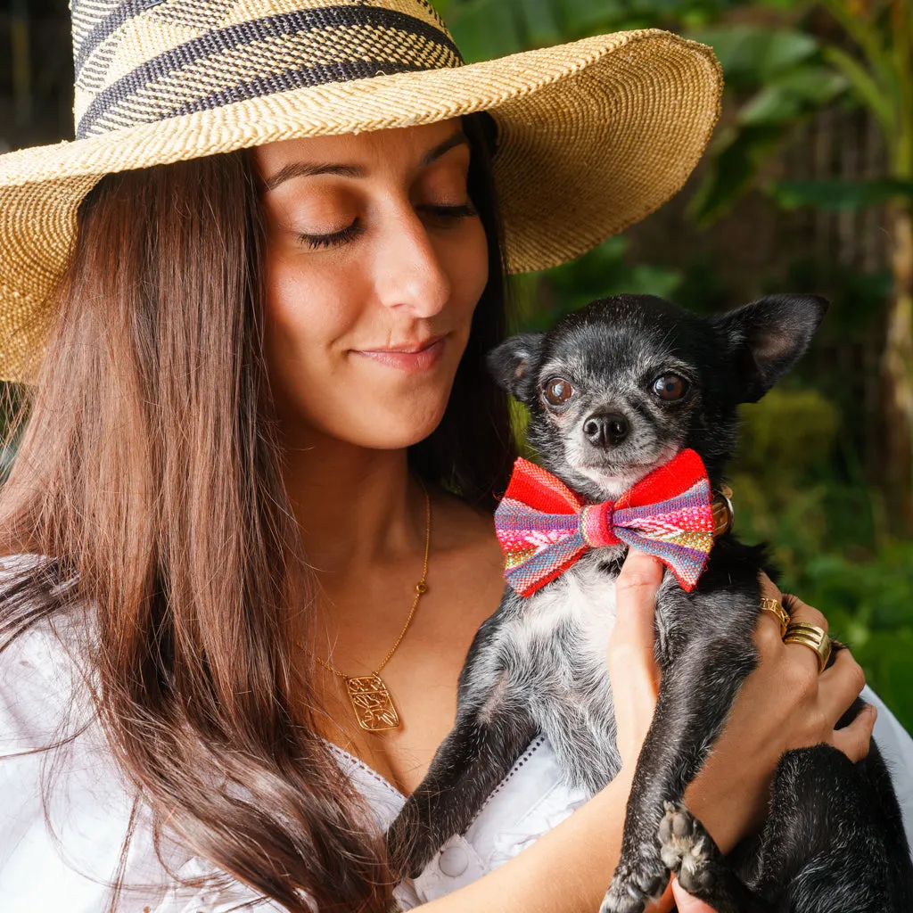 Inca Orange Dog Bow Tie