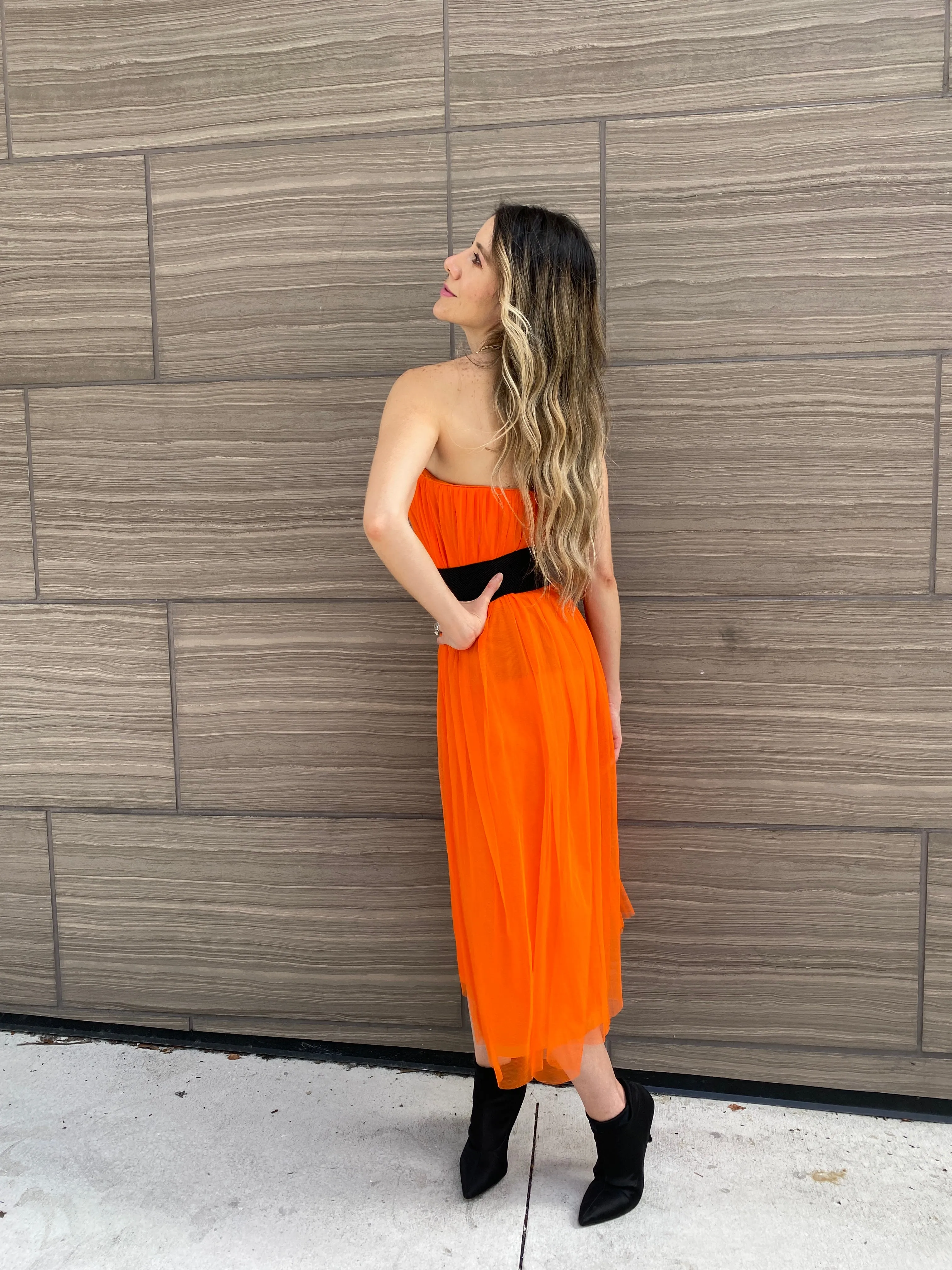 Long Clémentine Tulle Skirt