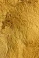 Mustard  Faux Fur Luxury Snood