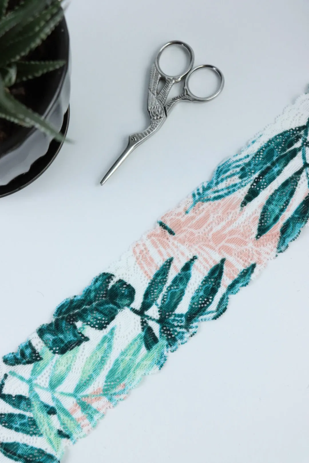 Palm Paradise 2.25" Wide Stretch Lace