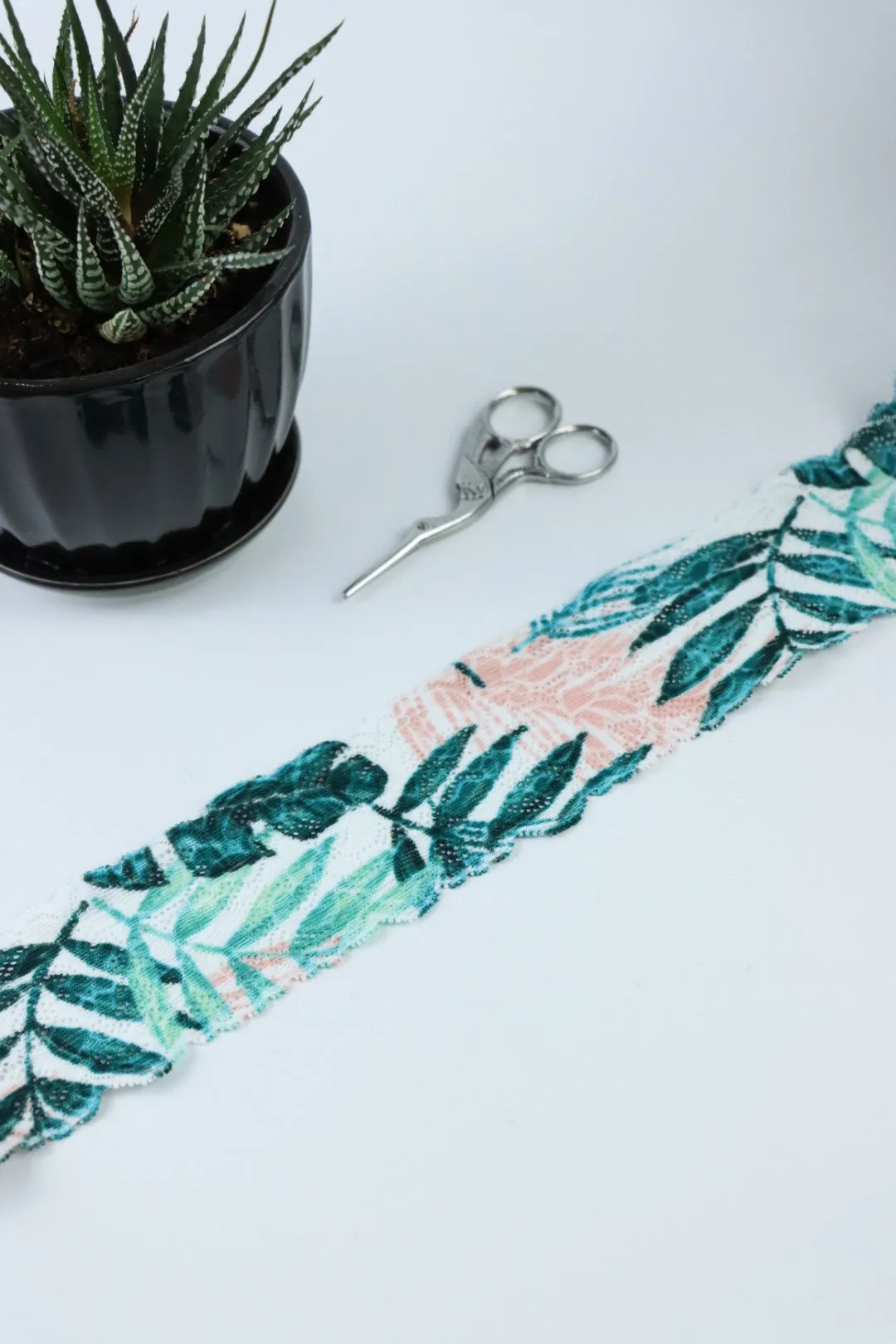 Palm Paradise 2.25" Wide Stretch Lace