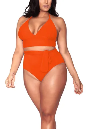 Plus Size Halter High Waisted Triangle Bikini Set