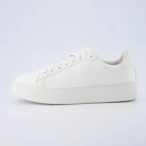 Roc Lace Up Sneaker