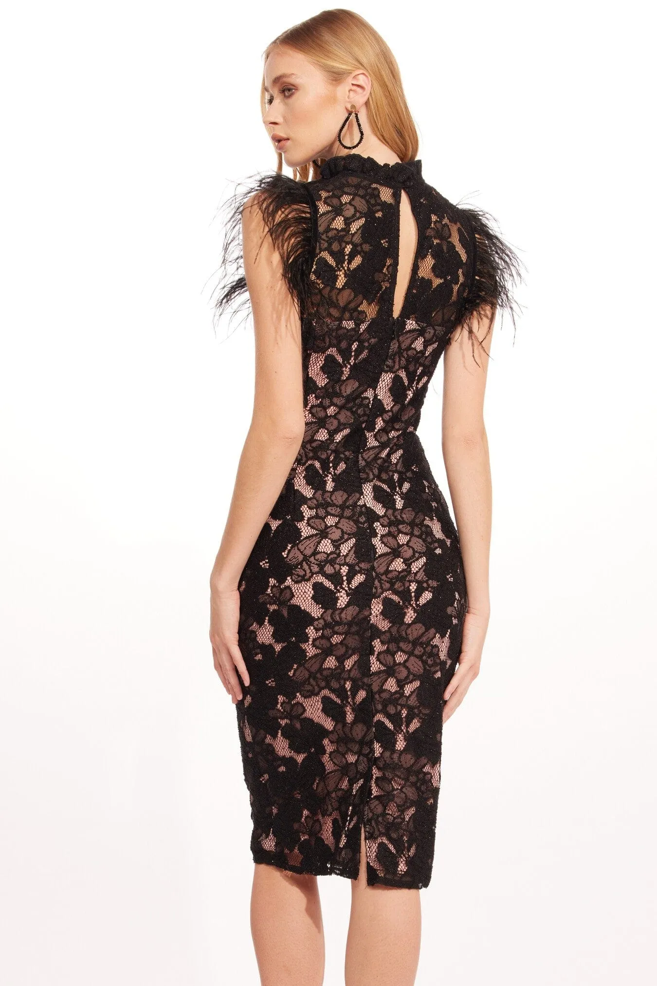 Fitted Look Stellen Dress ?C Euphoria Lace